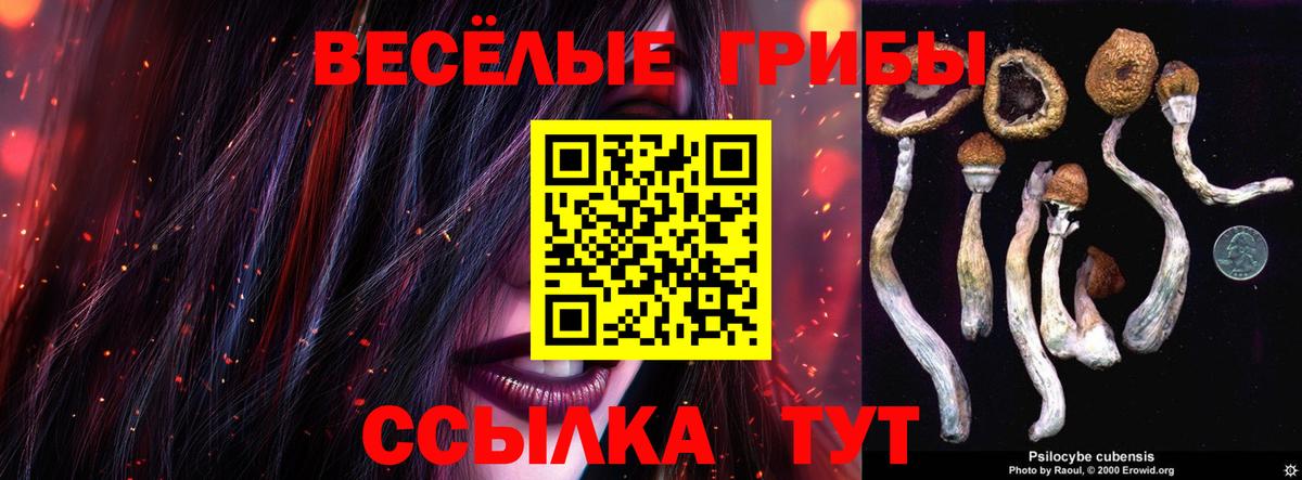 Мичуринск  Галлюциногенные грибы мицелий  где купить наркоту  Вход с VPN 